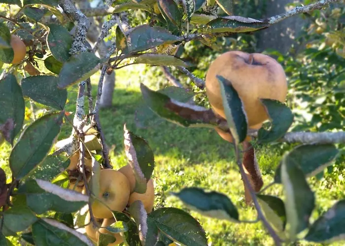 Casa O Segredo, Costa Da Morte Con Piscina Semesterbostad Coristanco